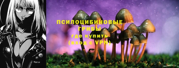 СК Алексеевка