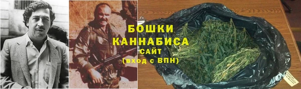 шишки Алзамай